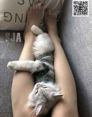 亚洲国产自拍精品视频_剧情片韩国电影在线观看